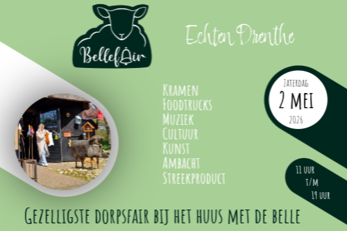 Dorpsfair op de Brink te Echten