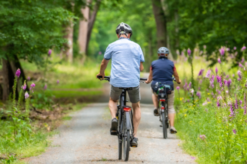 afbeelding fietsers natuur