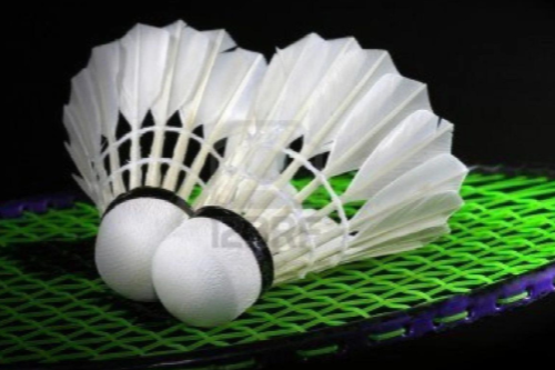 Logo badmintonvereniging Ruinerwold